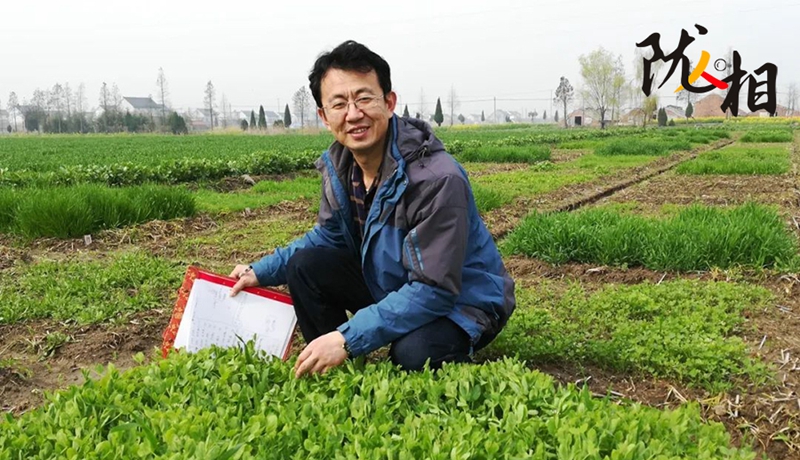 “土学者”刘满强：俯身西部黄土地 匠心浇灌科研花