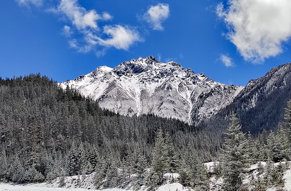 祁连雪墨染夏青 静谧悠远绘诗画