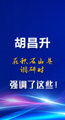 图解|胡昌升在积石山县调研时强调了这些！
