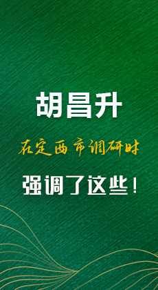 图解|胡昌升在定西市调研时强调了这些！