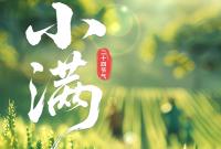 AI视频海报|小满：夏意渐满 天地豁然丰盈