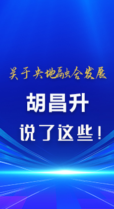 图解 |关于央地融合发展 胡昌升说了这些！