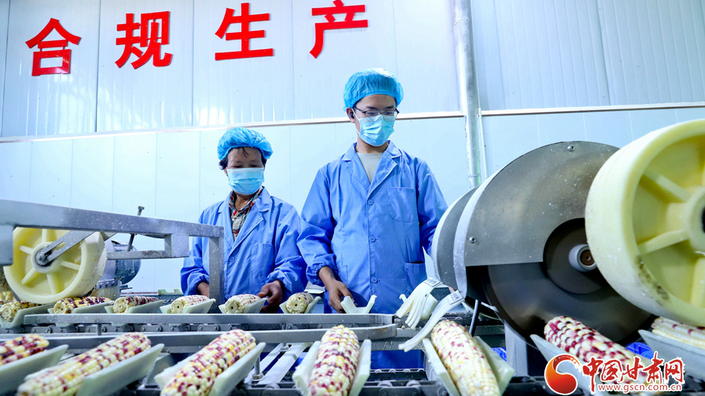 陇拍客丨高台：村办企业壮大集体经济 助力农户增收致富