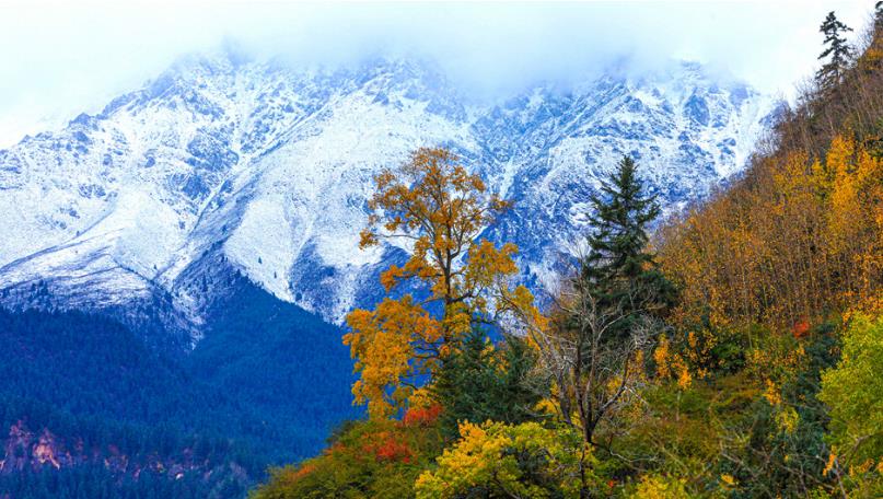 肃南：彩林映雪山