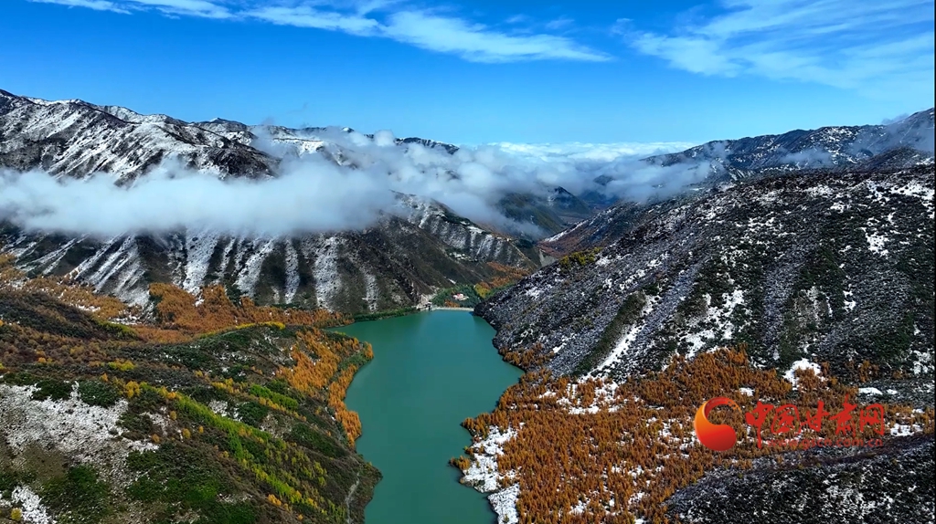 【陇拍客】太子山秋韵：高原风拂层林处 雪与彩叶绘山河