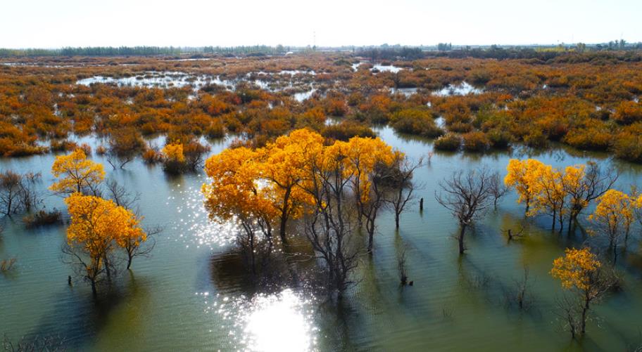 石羊河畔藏着“荒漠与流水共生”的绝色