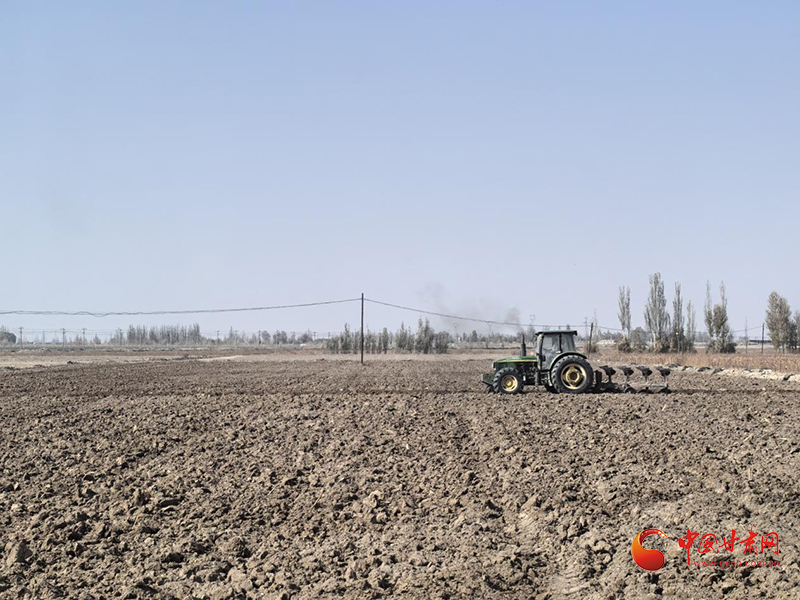 玉门：秋收落幕犁地忙 筑牢“沃土根基”