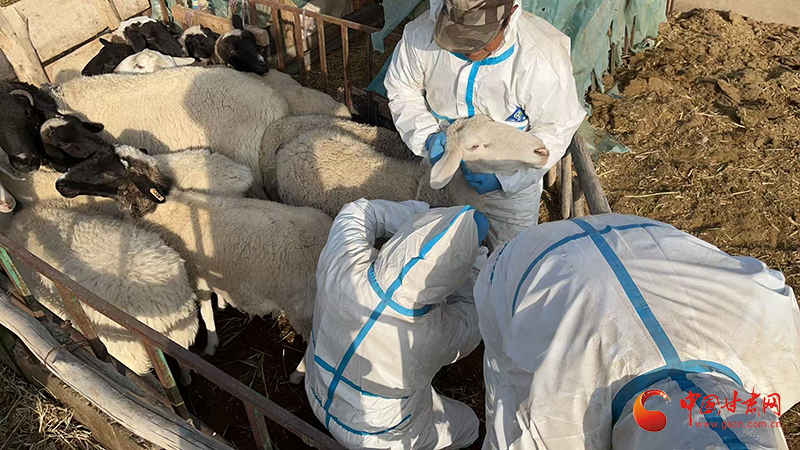 玉门：双线作战”筑屏障 织牢“安全网”