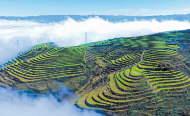 陇政要闻（2025年10月）