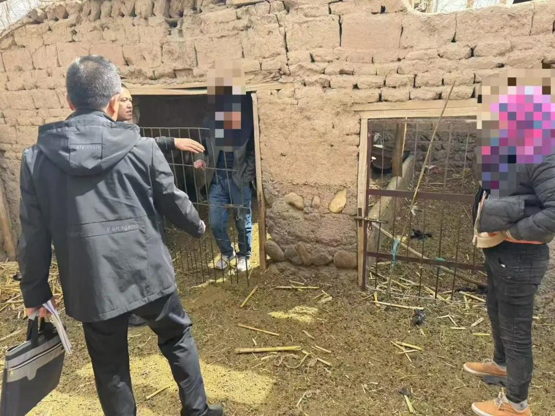 “羊圈”里的执行法官，接地气更“羊”气