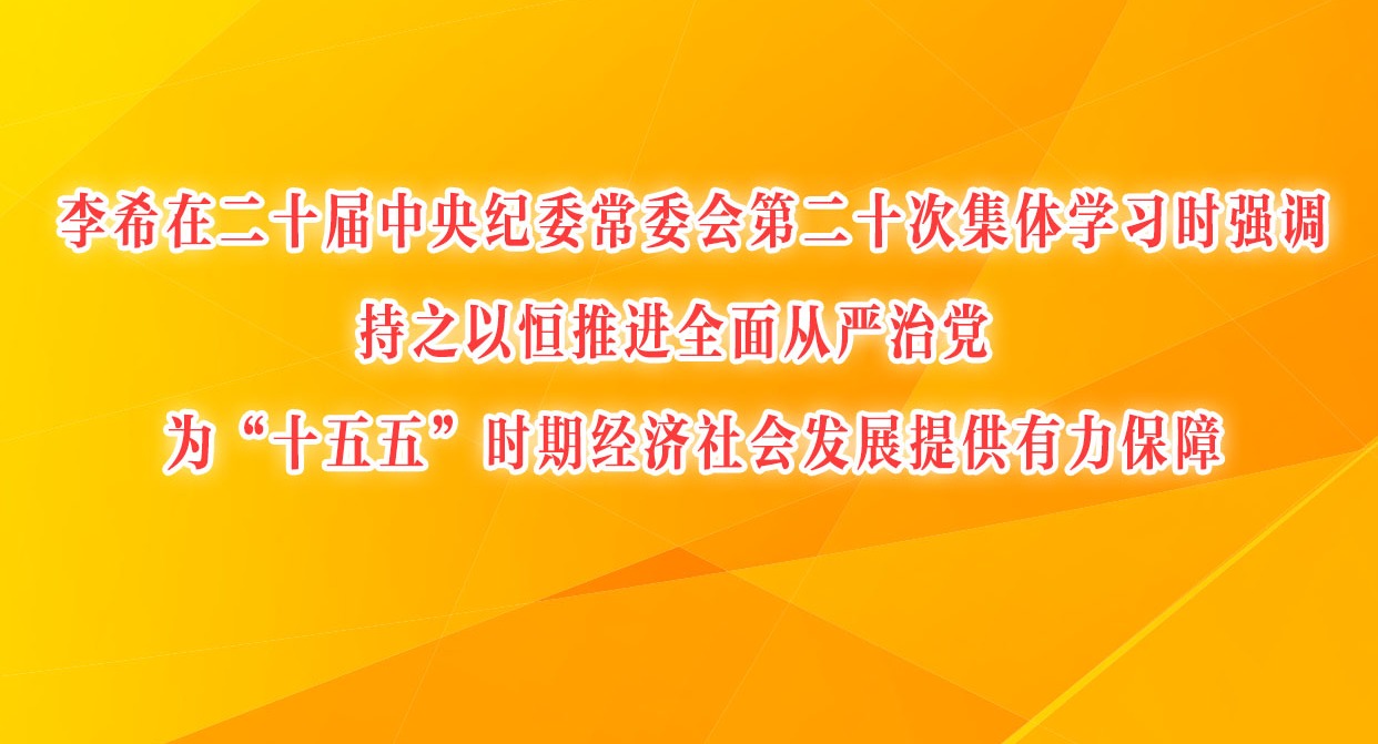 李希在二十届中央纪委常委会第二十次集体学习时强调 持之以恒推进全面从严治党 为“十五五”时期经济社会发展提供有力保障