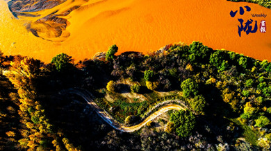 民勤：千顷湿地卧戈壁 续写生态新画卷