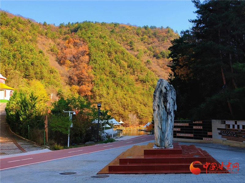 陇原山乡新画卷|华亭：一览米家沟的“风华雪月”