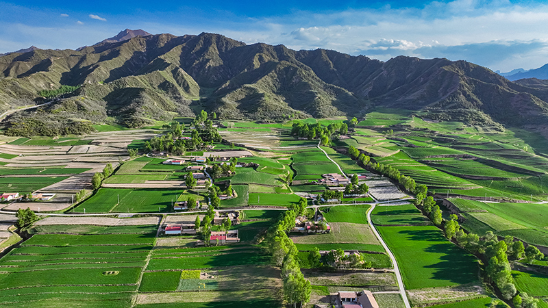 陇原山乡新画卷|民乐：生态“打底”乡村振兴路上“绿”意浓