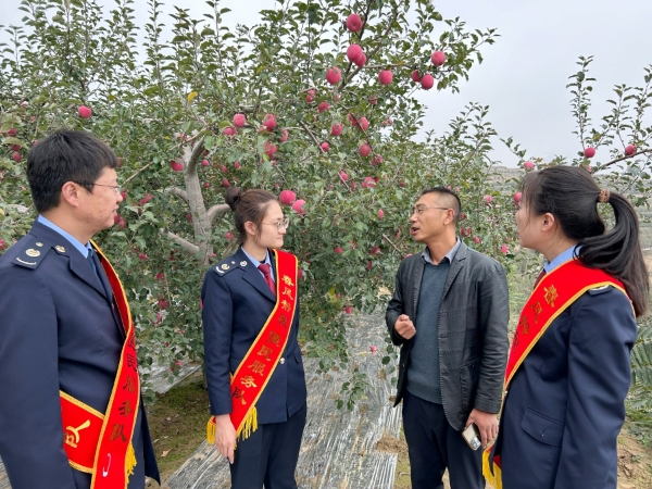 一颗小苹果何以成就大产业？181亿品牌背后的税力量