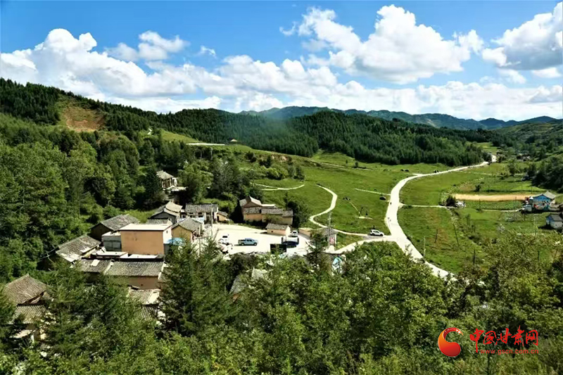 武都：路畅乡村美 业兴民富足