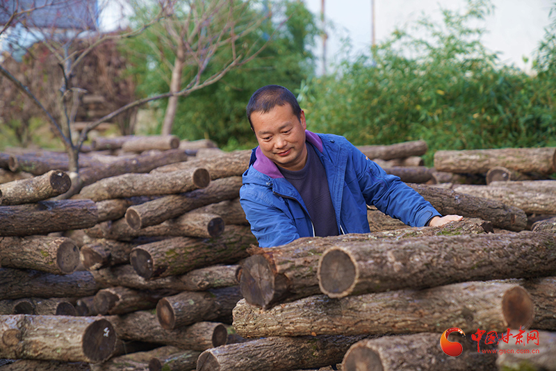 成县：绿染江畔兴乡野