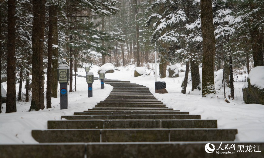 铁力迎降雪 林海雪景静待游客
