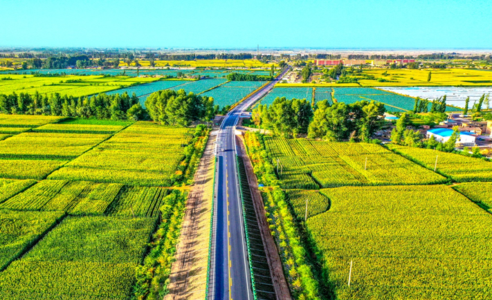 位于张掖市临泽县的“四好农村路”。甘肃省交通运输厅供图