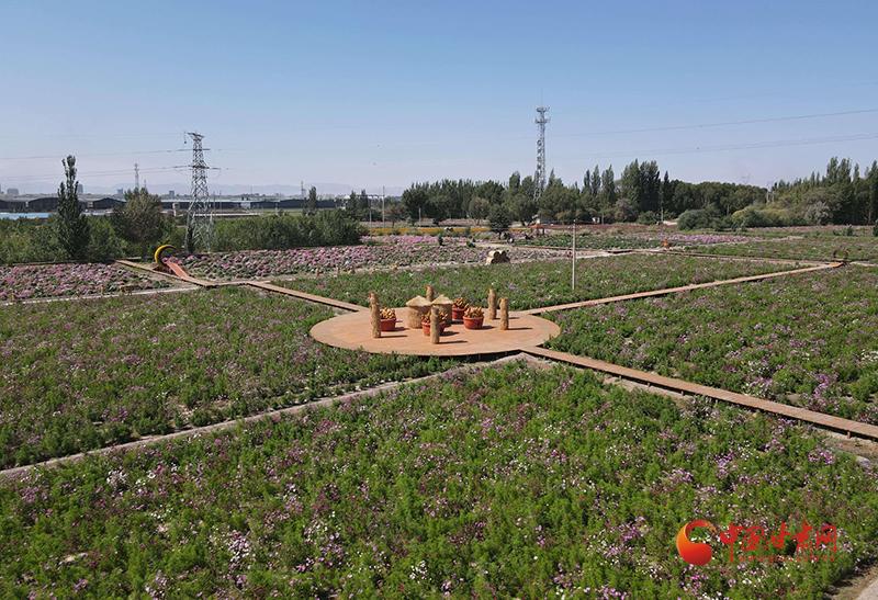 玉门：绘就和美乡村“实景图”