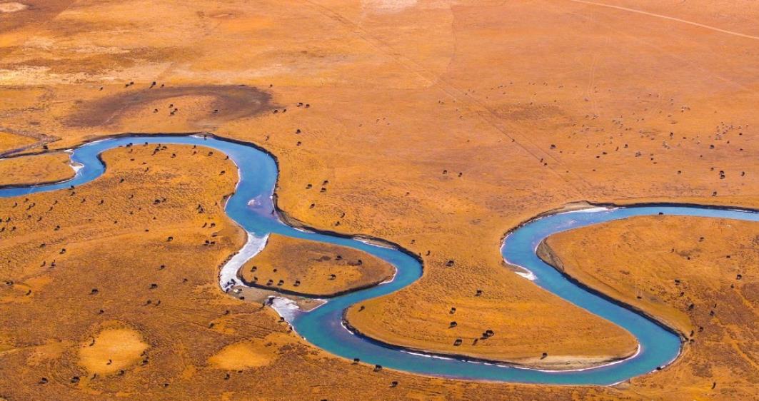 牧歌悠扬湿地美 玛曲草原的冬日慢时光
