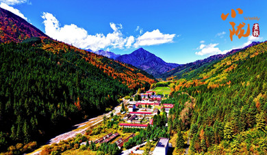 舟曲：大峪沟的冬天 每一处都是风景壁纸