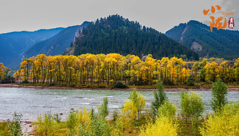 【小陇画报·445期】天祝的初冬 依然是深秋的色彩