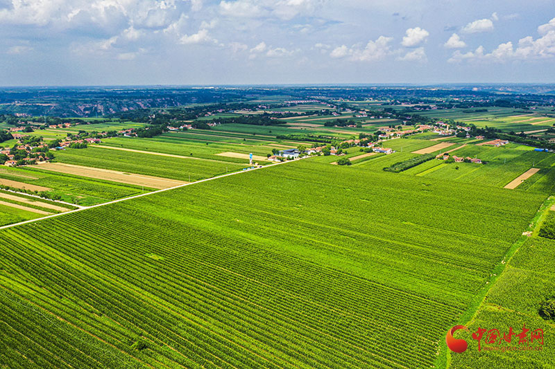 宁县：“农”墨重彩绘新卷