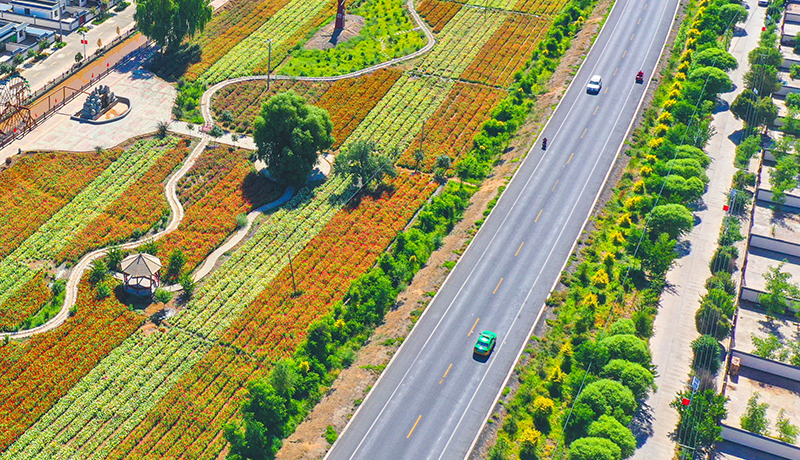 陇原山乡新画卷|高台：建设“四好农村路”跑出振兴“加速度”