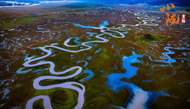 冬日玛曲宛若一部水墨长卷
