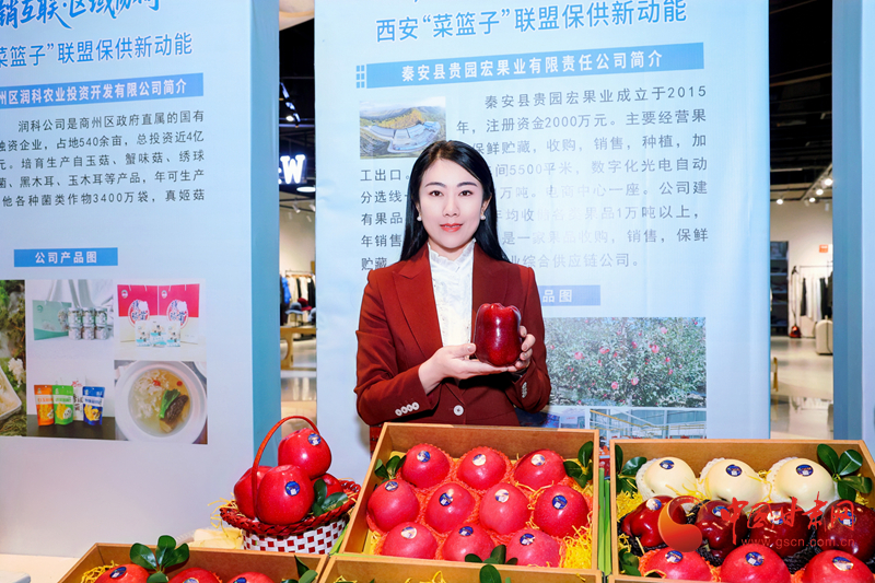 董晓梅：“苹果代表”的为民三原色