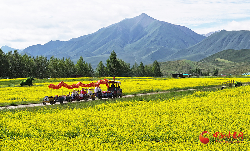 民乐：“旅游+”激活农旅产业新动能