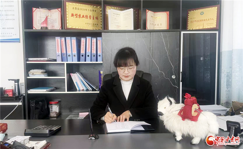 马燕辉：用心做强企业 用情履职为民