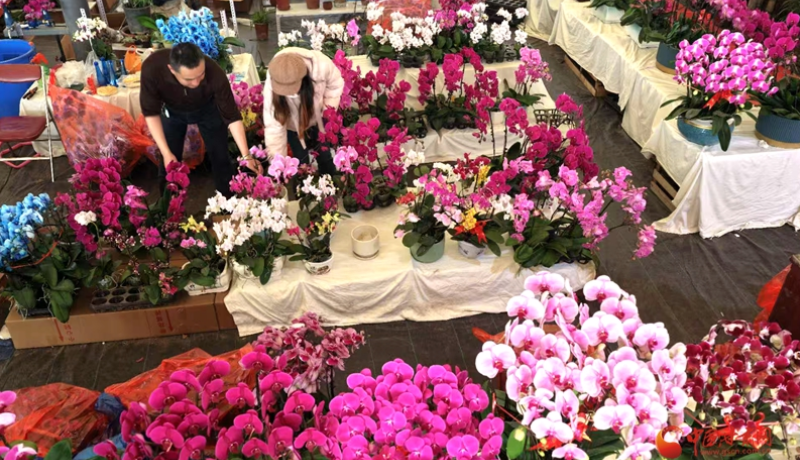 带你去四季青逛兰州最大花海