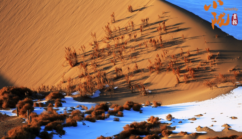 【小陇画报·468期】酒泉：金镶碧嵌的湿地画卷