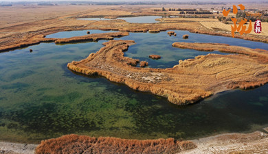 嘉峪关：金镶碧嵌的湿地画卷