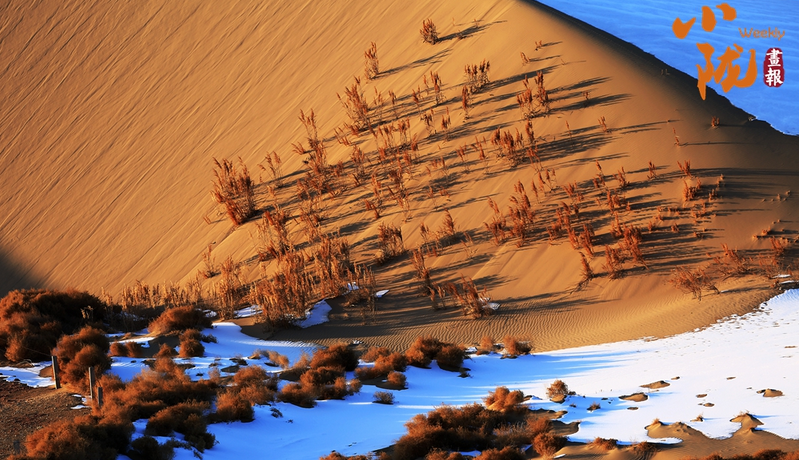 【小陇画报·468期】嘉峪关：金镶碧嵌的湿地画卷