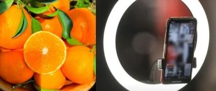 声称“橙子提高免疫力”、“悲情助农”等类案频发，敲响各单位直播带货警钟