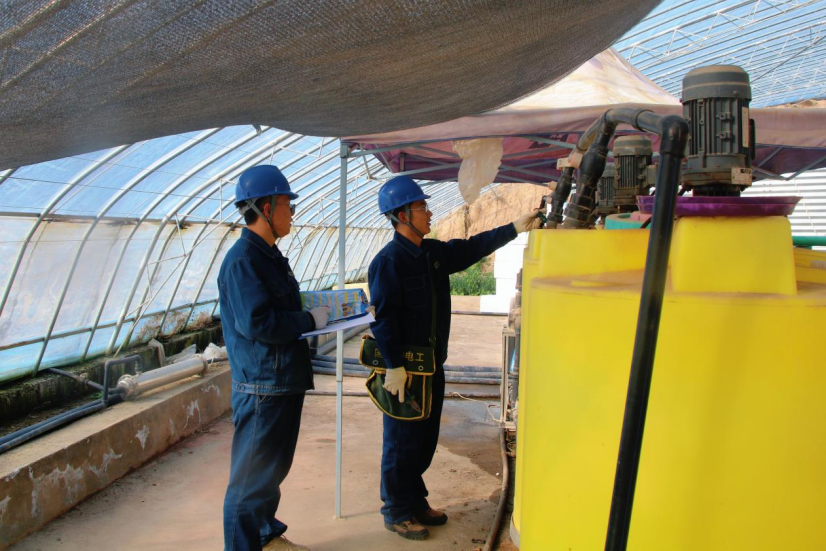 国网甘肃电力：春雷惊蛰万物生 电力护航农耕忙