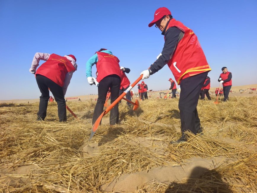 武威市全面开展春季义务压沙植树活动
