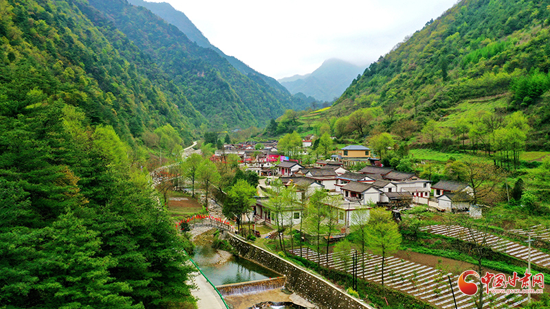 武都发展“五小产业”
