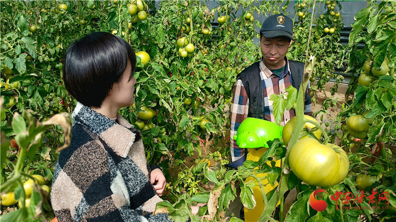 都市农业春耕忙