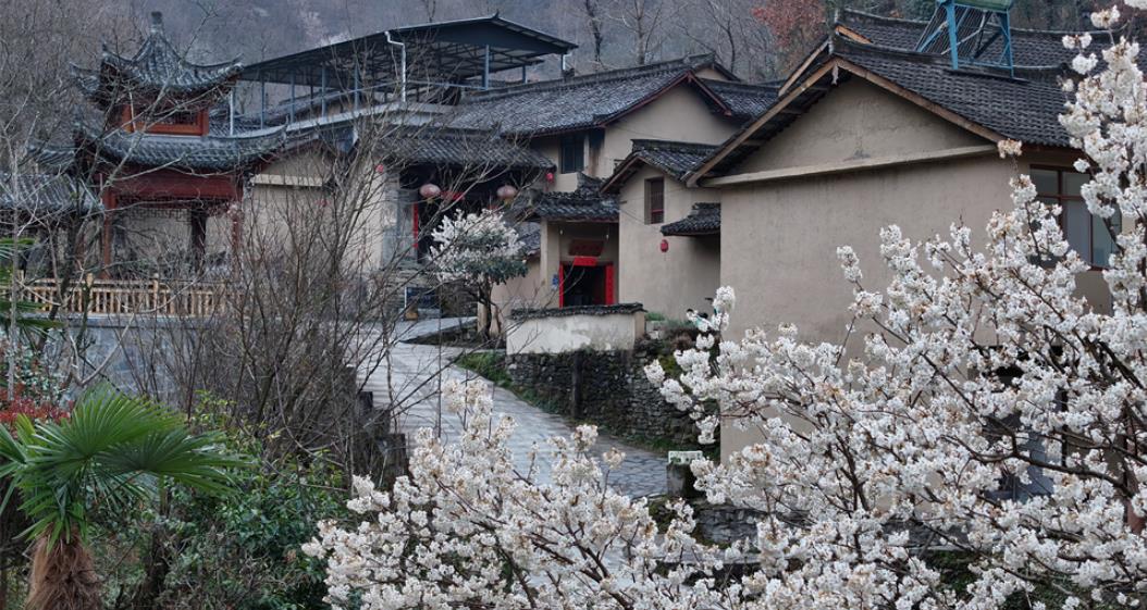 春染古村景如画 康县朱家沟踏青正当时