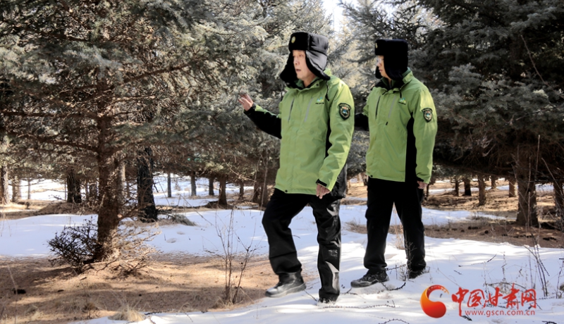 四十三载护林 让祁连青绿留岁月