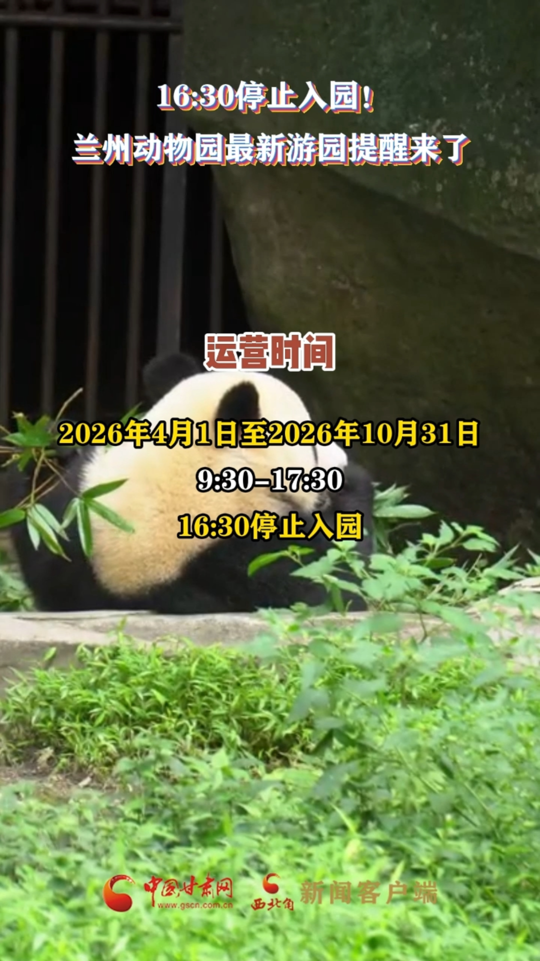 16:30停止入园！兰州动物园最新游园提醒来了？