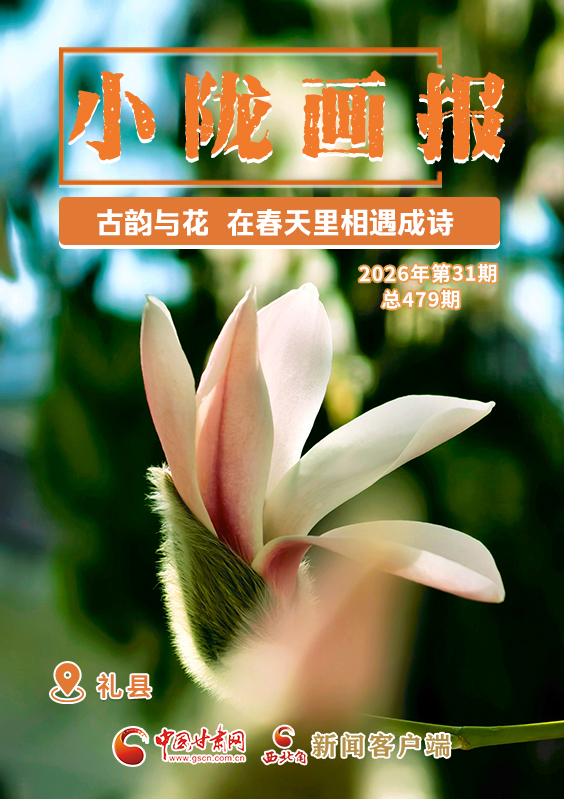 【小陇画报·479期】礼县：古韵与花，在春天里相遇成诗