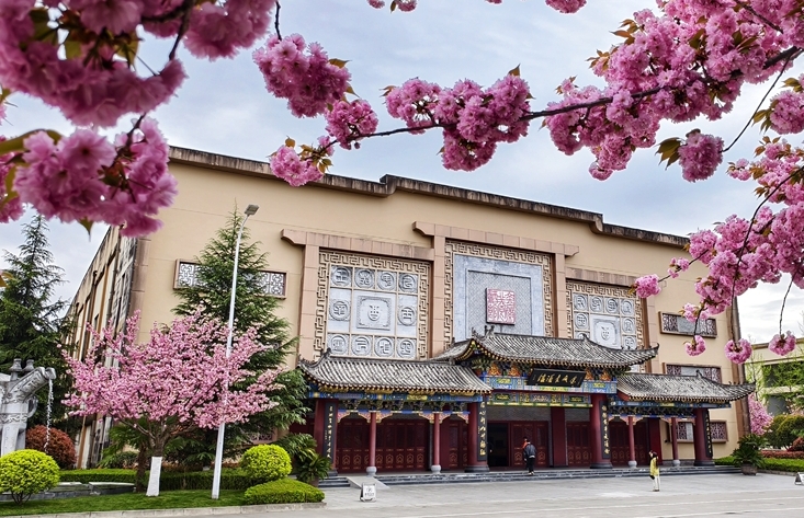 图集｜“樱”你而美，共赴金徽春日之约