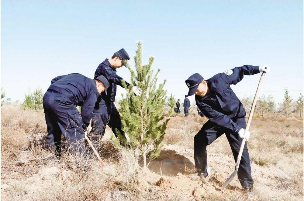 古浪公安为八步沙林场添新绿