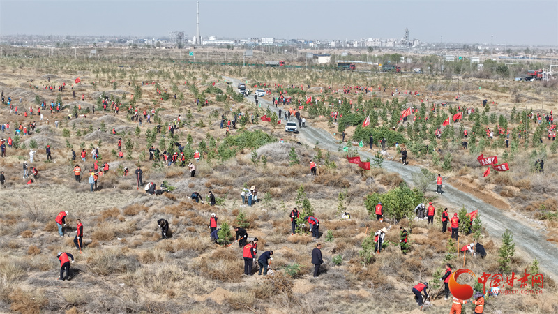 武威古浪林草治理成效显著 239.3万亩沙化土地添新绿