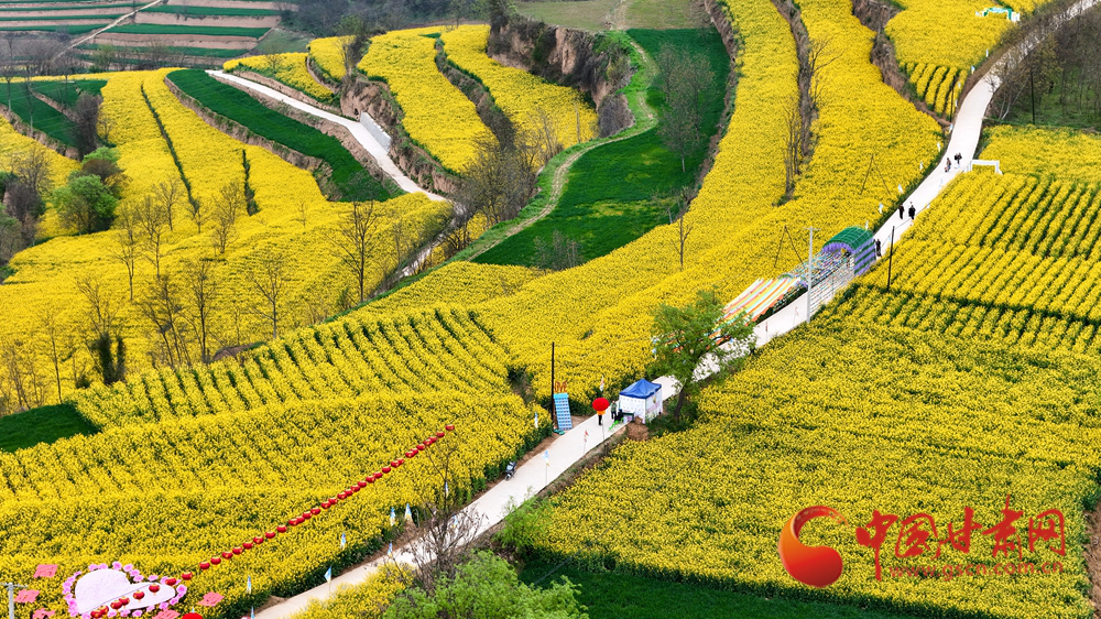 春动陇原丨成县：花染成州 春盈陇上